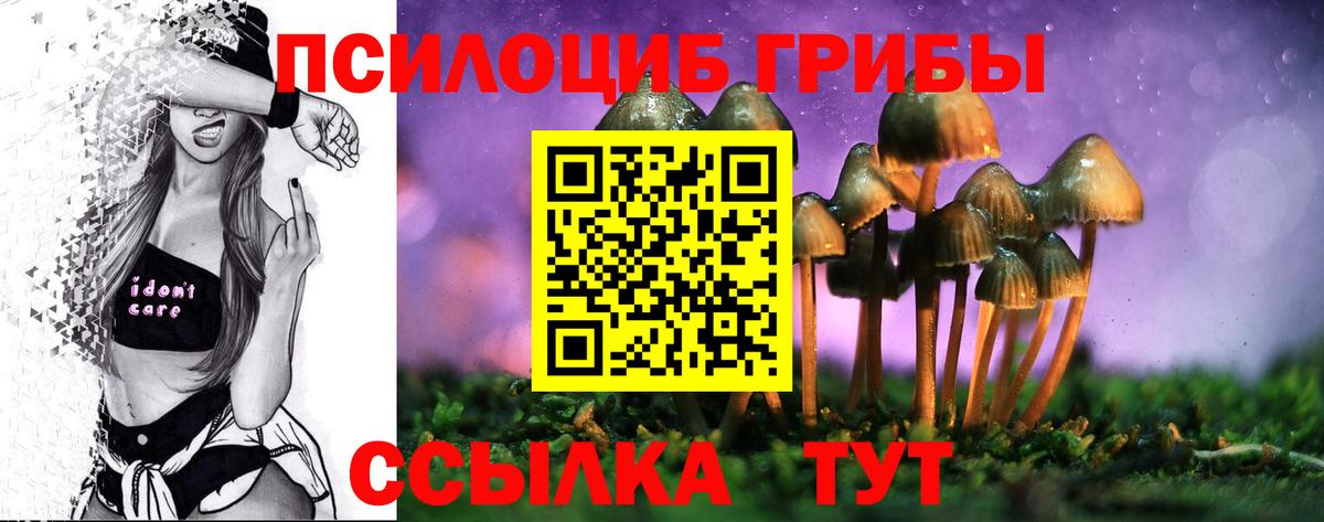 Лабытнанги  Псилоцибиновые грибы ЛСД  Вход с VPN 
